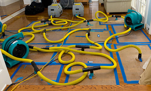 Professional Burst Pipe Water Damage technician working in Washington, IA